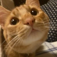 会員画像
