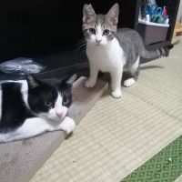 いずみん205 会員画像