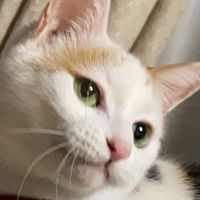 会員画像