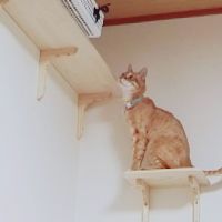 会員画像