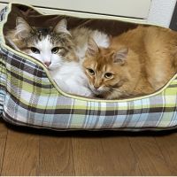 理央ママさん