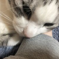 sabamさん