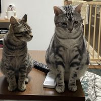 あんこおはぎ 会員画像