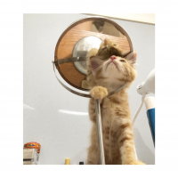 あずさや 会員画像