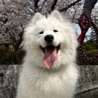 おきょー 会員画像