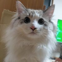 まなふぃ1127 会員画像