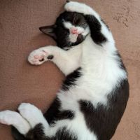 もんもんもん 会員画像