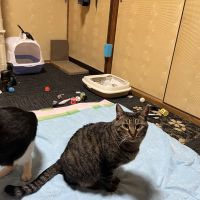 フニャken 会員画像