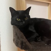 yozo工房 会員画像