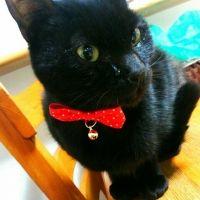 あずmama 会員画像