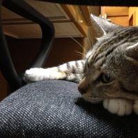 ライトっち 会員画像