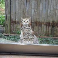 ゆっかち 会員画像