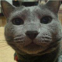 りさと 会員画像