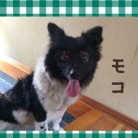 たけのこのこ 会員画像