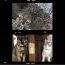ユーザ画像
