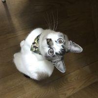 会員画像