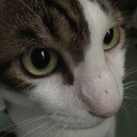 ミロク 会員画像