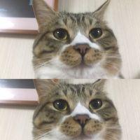 けいこ111111 会員画像