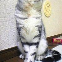 会員画像