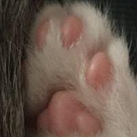 会員画像
