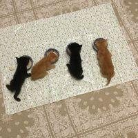 会員画像