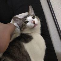 会員画像