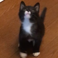会員画像