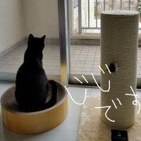 mogeizo 会員画像