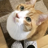 しゅん、ちゃん 会員画像