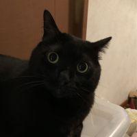 会員画像