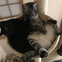 会員画像