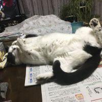 会員画像
