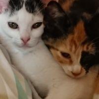 会員画像