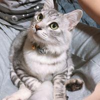 Limerさん