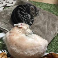 会員画像