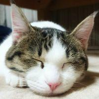 miurinさん