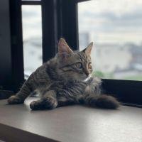 COCO_0627 会員画像
