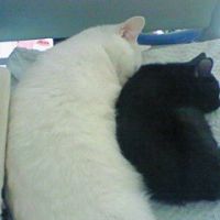 われこ 会員画像
