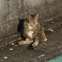 会員画像
