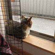 Qweqwe123 会員画像