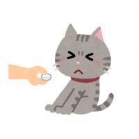 会員画像