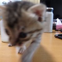 会員画像