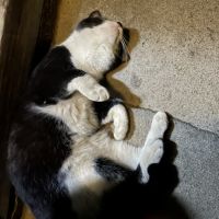 会員画像