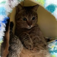 まろふぁみ 会員画像