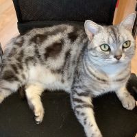 TANITANI 会員画像