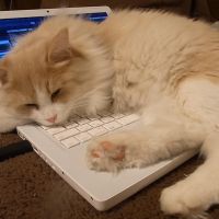 michiaki.s 会員画像