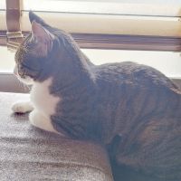 kithiさん