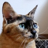 まさみ33 会員画像