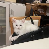 mihonyaさん