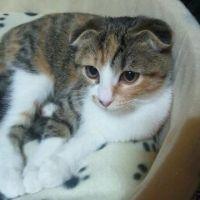 メルメル 会員画像